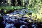 ABZ - Bird Creek Meadows